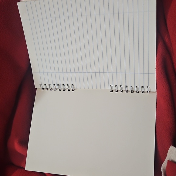 Taylor Swift Notebook - Picture 3 of 4